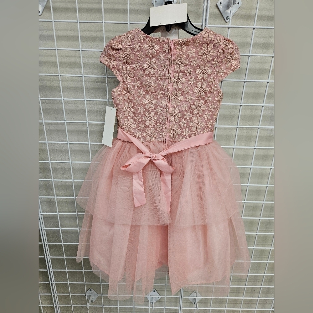 BISCOTTI Floral and Frilled Girls Dress BRAND NEW - Picture 3 of 7